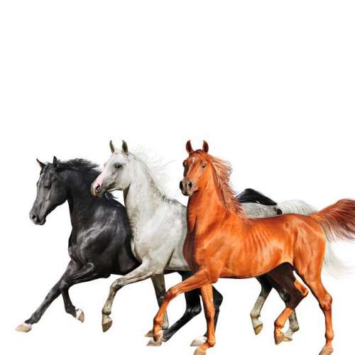 Old Town Road - Diplo Remix